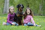 ENFANT ET CHIEN 295